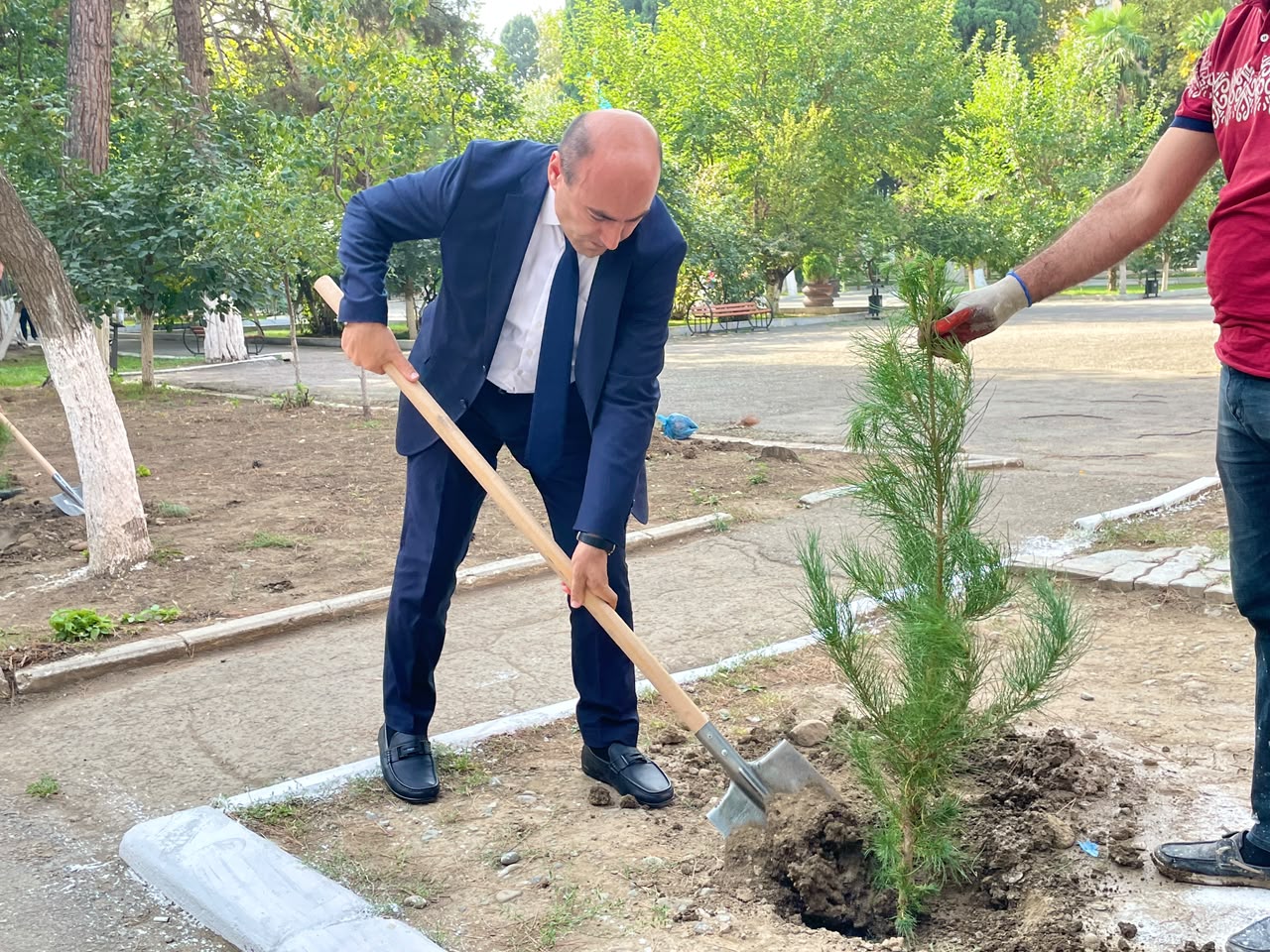 ATU-da Vətən uğrunda canından keçən şəhidlərin xatirəsi ağacəkmə aksiyası ilə əbədiləşdirilib