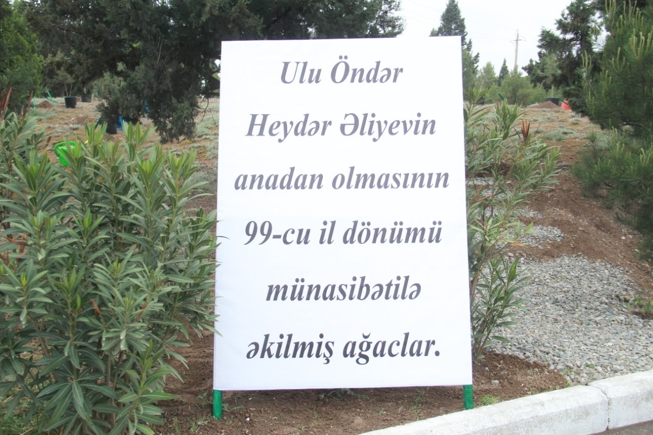 Azərbaycan Texnologiya Universitetinin kollektivi Gəncədə şəhər miqyaslı ağacəkmə aksiyasında iştirak edib